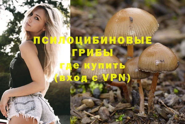 PSILOCYBIN Беломорск