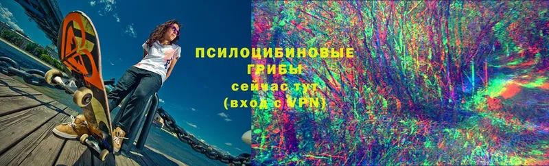 цены наркотик  Городец  МЕГА онион  маркетплейс формула  Псилоцибиновые грибы Psilocybine cubensis 